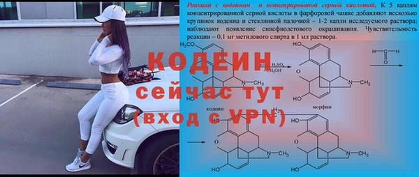 гашик Чегем
