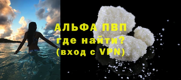 гашик Чегем