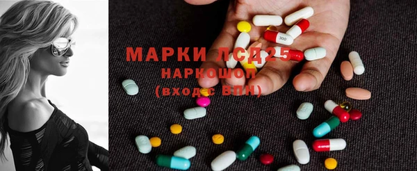 стаф Хадыженск