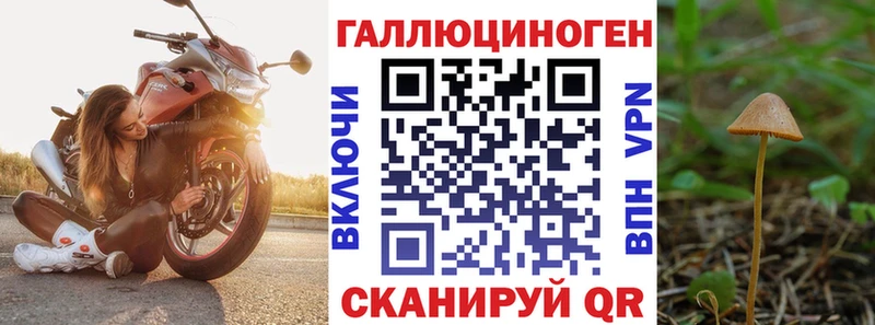 Галлюциногенные грибы ЛСД Калининец